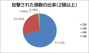 目撃された頭数の比率(2頭以上)のグラフ